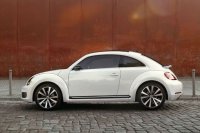 BEETLE (7)